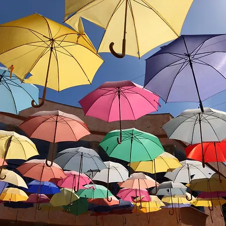 Carlos Callao Salvaje