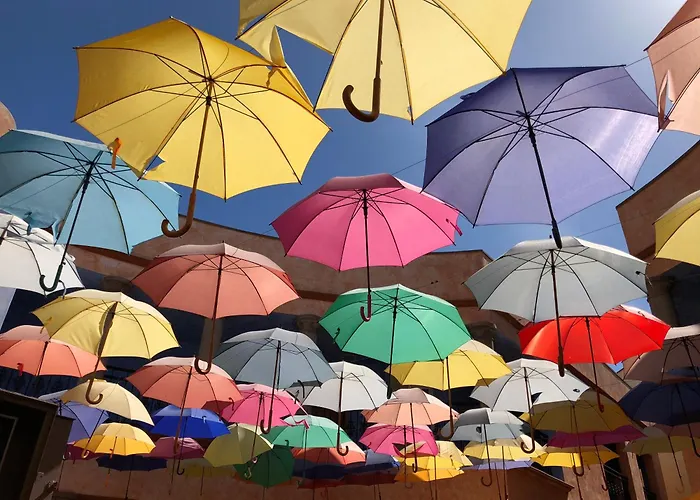 Carlos Callao Salvaje